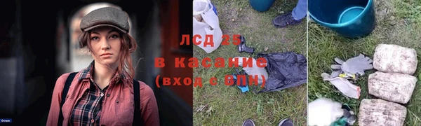 марки nbome Вяземский