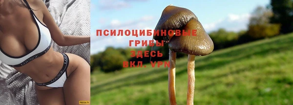 эйфоретик Вязники